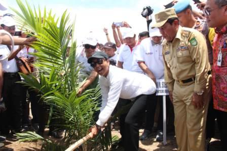 PTPN V Siap Remajakan 28 Ribu Hektar Lahan Petani